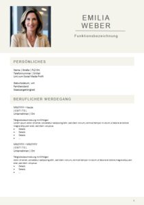 Vorlage Bewerbung Lebenslauf 1